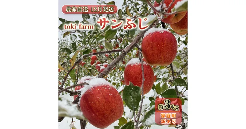 【ふるさと納税】【12月発送】toki farm 家庭用 サンふじ 約3kg 訳あり【弘前市産・青森りんご】　果物類・林檎・りんご・リンゴ　お届け：2024年12月1日～2024年12月25日