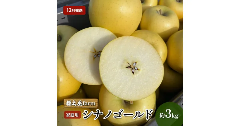 【ふるさと納税】【12月発送】權之丞farm シナノゴールド 家庭用 約3kg【弘前市産・青森りんご】　弘前市　お届け：2024年12月1日～2024年12月25日