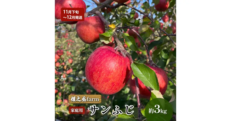 【ふるさと納税】【11月下旬～12月発送】權之丞farm サンふじ 家庭用 約3kg【弘前市産・青森りんご】　弘前市　お届け：2024年11月28日～2024年12月25日