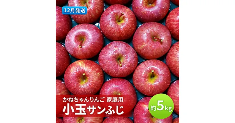 【ふるさと納税】【12月発送】かねちゃんりんご 家庭用 小玉 サンふじ約5kg 食べきりサイズ 【弘前市産・青森りんご】　お届け：2024年12月1日～2024年12月27日