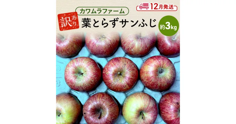 【ふるさと納税】りんご 【12月発送】カワムラファーム 訳あり 葉とらず サンふじ 約3kg 【弘前市産 青森りんご】 青森 弘前　お届け：2024年12月1日～2024年12月25日