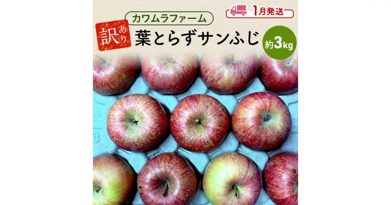 【ふるさと納税】りんご 【1月発送】カワムラファーム 訳あり 葉とらず サンふじ 約3kg 【弘前市産 青森りんご】 青森 弘前　お届け：2025年1月5日～2025年1月31日