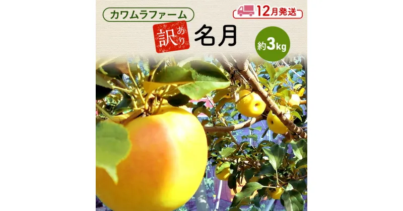 【ふるさと納税】りんご 【12月発送】カワムラファーム 訳あり 名月 約3kg 【弘前市産 青森りんご】 青森 弘前　お届け：2024年12月1日～2024年12月25日