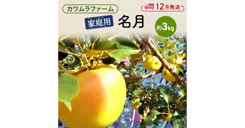 【ふるさと納税】りんご 【12月発送】カワムラファーム 家庭用 名月 約3kg 【弘前市産 青森りんご】 青森 弘前　お届け：2024年12月1日～2024年12月25日