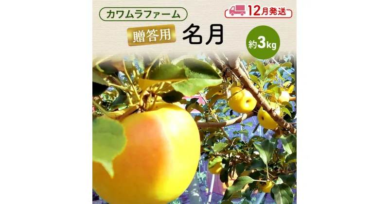 【ふるさと納税】りんご 【12月発送】カワムラファーム 贈答用 名月 約3kg 【弘前市産 青森りんご】 青森 弘前　お届け：2024年12月1日～2024年12月25日