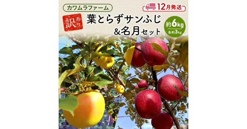 【ふるさと納税】りんご 【12月発送】カワムラファーム 訳あり 葉とらず サンふじ & 名月 セット 約6kg 【弘前市産 青森りんご】 青森 弘前　お届け：2024年12月1日～2024年12月25日