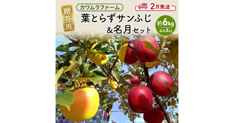 【ふるさと納税】りんご 【2月発送】カワムラファーム 贈答用 葉とらず サンふじ & 名月 セット 約6kg 【弘前市産 青森りんご】 青森 弘前　お届け：2025年2月1日～2025年2月28日