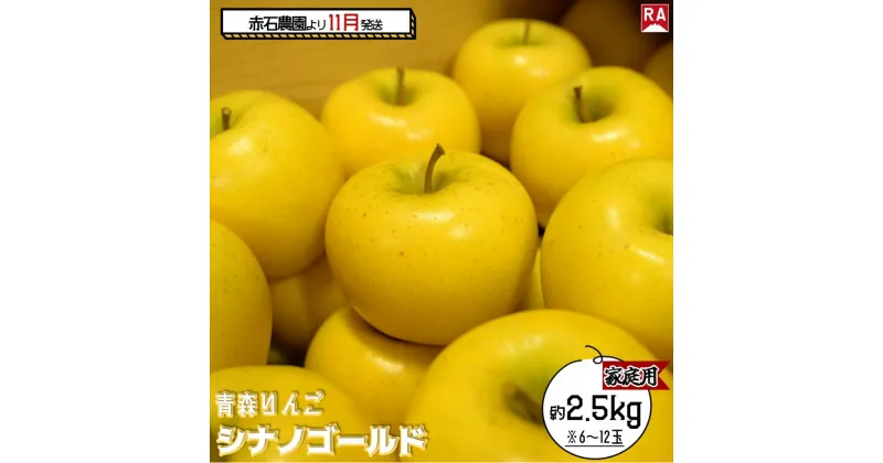 【ふるさと納税】りんご 【 11月発送 】 家庭用 シナノゴールド 約 2.5kg 【 弘前市産 青森りんご 】　お届け：2024年11月1日～2024年11月30日