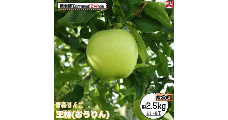 【ふるさと納税】りんご 【 12月発送 】 13度糖度保証 贈答用 王林 約 2.5kg 【 弘前市産 青森りんご 】　お届け：2024年12月1日～2024年12月27日