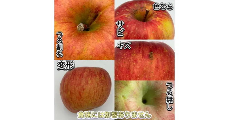 【ふるさと納税】【訳あり品】サンふじ　3kg(7～12個入)　令和6年11月～随時発送【1519575】