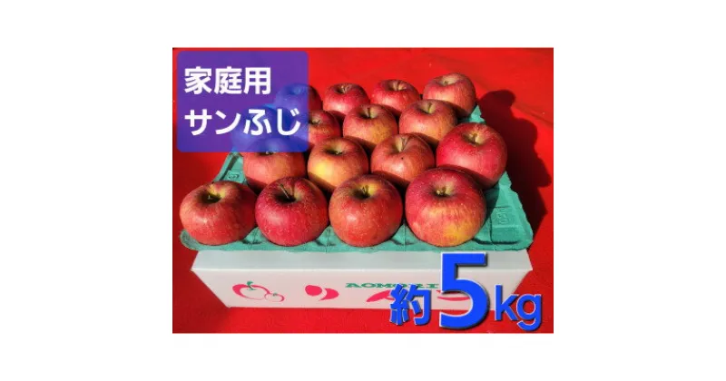 【ふるさと納税】【訳あり】青森県産りんご「サンふじ家庭用」約5kg　産地直送!【1517224】