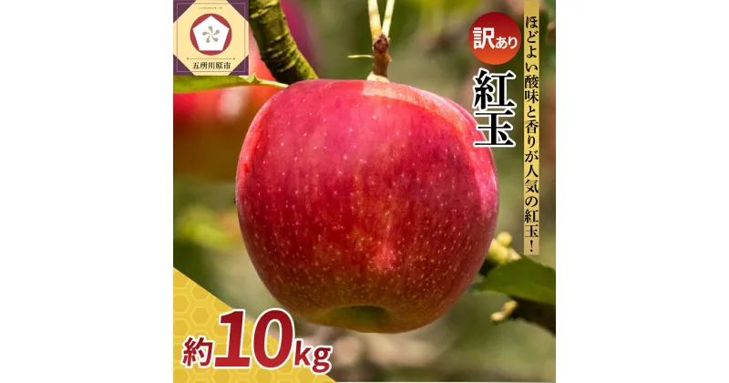 【ふるさと納税】★レビュー高評価★【 訳あり 】紅玉 10kg ( 配送時期が選べる ) / 不揃い 規格外 りんご 林檎 アップル 果物 くだもの フルーツ 常温保存 秋 旬 人気 青森県 五所川原市