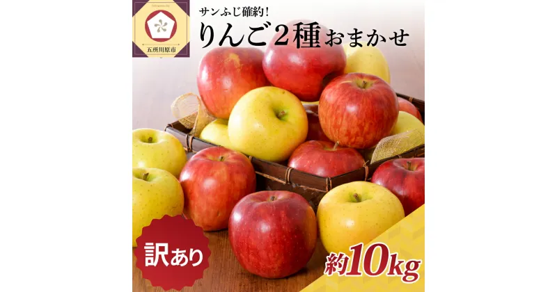 【ふるさと納税】★レビュー高評価★【 訳あり 】 りんご 2種 おまかせ 約10kg サンふじ確約 青森産 ( 配送時期が選べる 11月～3月 ) 秋 旬 青森県 五所川原市