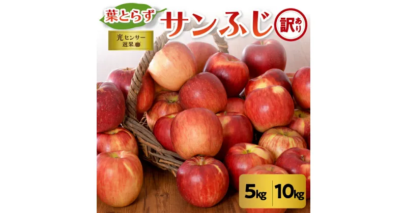 【ふるさと納税】★レビュー高評価★【 訳あり 】葉とらず サンふじ ( 内容量が選べる 5kg 10kg / 配送時期が選べる 11月～3月 ) | 無袋 年内配送 年内発送 わけあり 規格外 不揃い 傷 リンゴ 林檎 ふじ 果物 フルーツ 秋 旬 常温保存 青森県 五所川原市