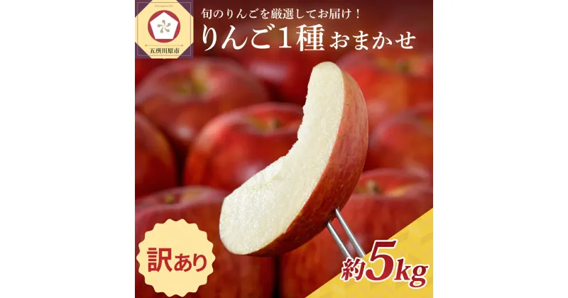 【ふるさと納税】【 訳あり 】 りんご 1品種おまかせ 5kg ( 配送時期が選べる ) / 不揃い 規格外 果物 くだもの フルーツ 林檎 アップル 秋 旬 常温保存 青森県 五所川原市