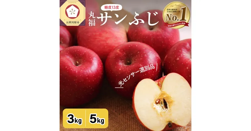 【ふるさと納税】★レビュー高評価 !★ サンふじ 丸福 ( 内容量が選べる : 3kg 5kg / 配送時期が選べる : 11月～3月 ) りんご 無袋 光センサー 選果 糖度 13度以上 秋 旬 フルーツ 常温保存 青森県 五所川原市