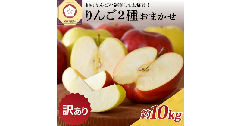 【ふるさと納税】★レビュー高評価★【 訳あり 】 りんご 2品種おまかせ 10kg ( 配送時期が選べる ) / りんご 林檎 アップル 規格外 不揃い フルーツ 果物 くだもの 秋 旬 青森県 五所川原市