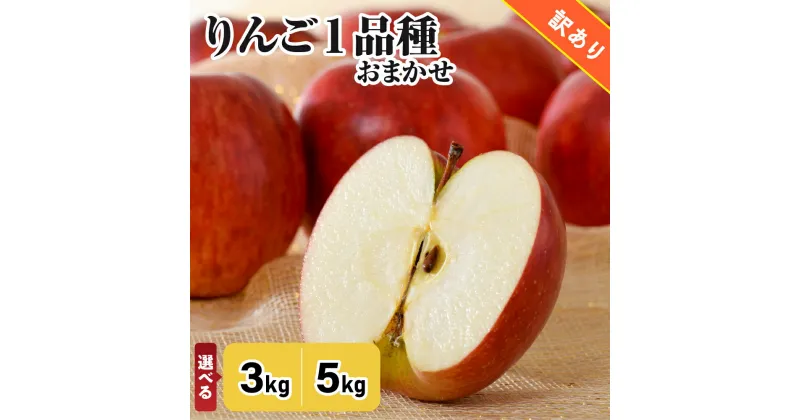 【ふるさと納税】★レビュー高評価★【 訳あり 】 りんご 1品種おまかせ 3kg または 5kg ( 配送時期が選べる ) / 不揃い 規格外 くだもの 果物 フルーツ 林檎 常温保存 秋 旬 青森県 五所川原市