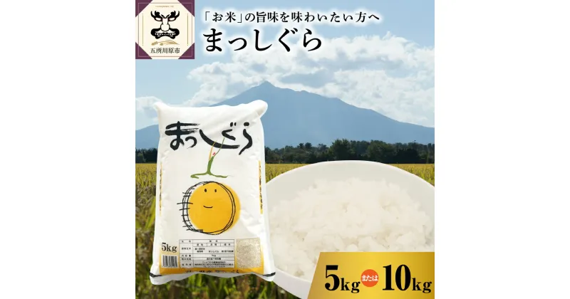 【ふるさと納税】令和6年産 まっしぐら 白米 内容量が選べる 5kg 10kg / 配送時期が選べる 12月～6月