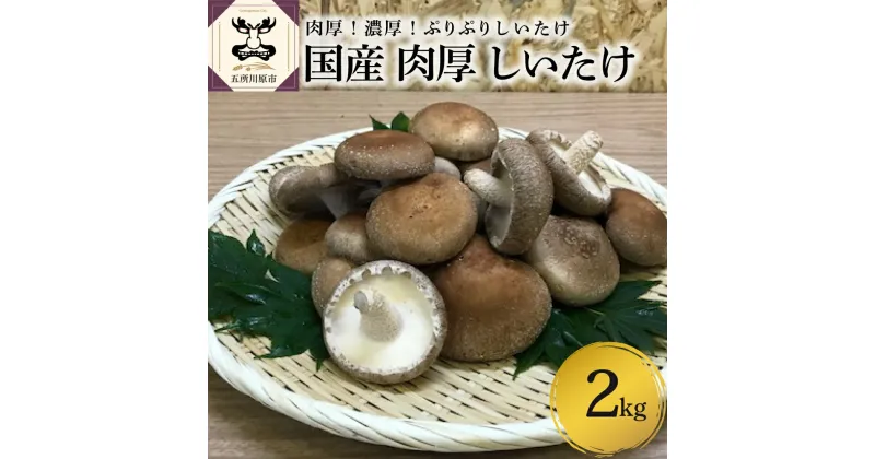 【ふるさと納税】【11月より発送開始】国産 肉厚 しいたけ 2kg 栽培期間中農薬不使用 青森 新規就農者応援 【 きのこ 肉 厚 】