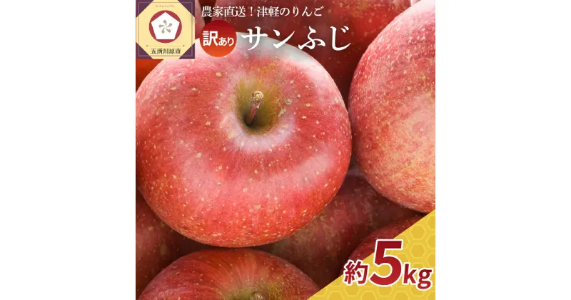 【ふるさと納税】《 先行予約 》【 訳あり 】 サンふじ 約5kg ( 配送時期が選べる 12月 1月) / 青森産 りんご 林檎 アップル 不揃い 規格外 常温保存 秋 旬 果物 くだもの フルーツ 国産 青森県 五所川原市