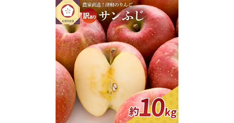 【ふるさと納税】《 先行予約 》【 訳あり 】 サンふじ 約10kg ( 配送時期が選べる 12月 1月) / 青森産 りんご 林檎 アップル 不揃い 規格外 常温保存 秋 旬 果物 くだもの フルーツ 国産 青森県 五所川原市