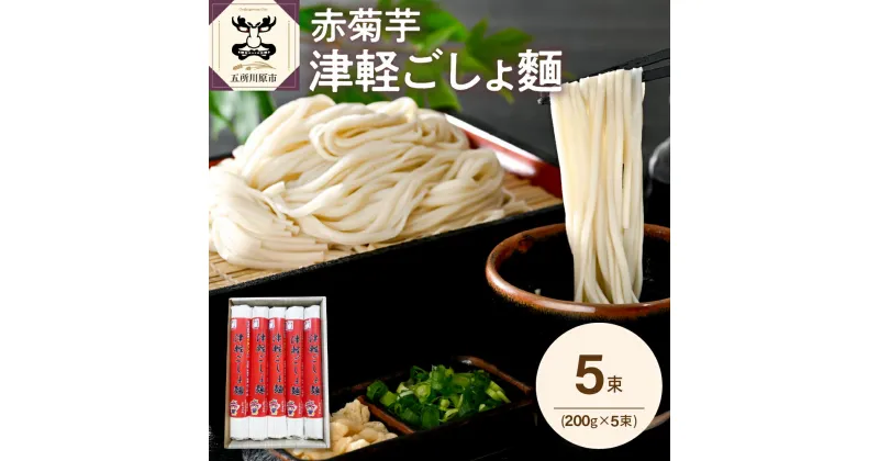 【ふるさと納税】うどん 乾麺 200g×5束 2人前×5 赤 菊芋 もちもち 青森 五所川原 【 菊芋うどん キクイモ ウドン きくいも イヌリン 10食分 10人前 1000g 】