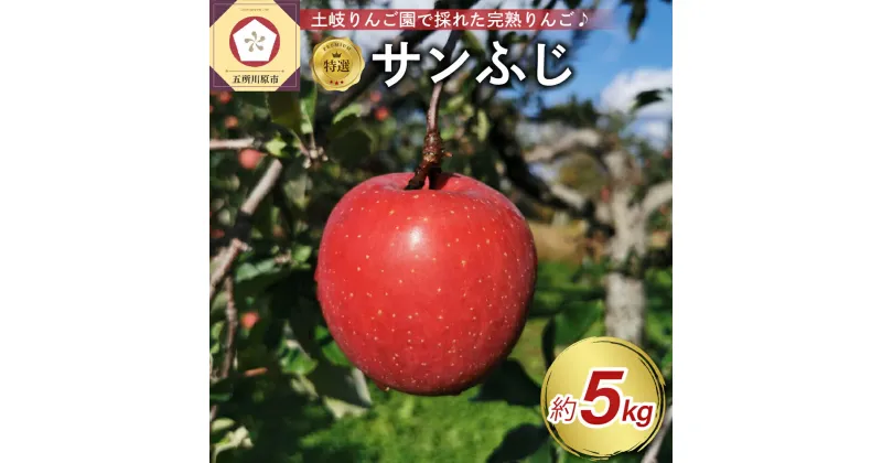 【ふるさと納税】《 先行予約 》樹上完熟 特選 サンふじ 約5kg ( 配送時期が選べる 12月上旬～下旬) / りんご 林檎 アップル 常温保存 秋 旬 果物 くだもの フルーツ 5キロ 贈答 贈り物 ギフト 年内配送 年内発送 青森県 五所川原市