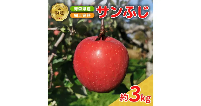 【ふるさと納税】《 先行予約 》樹上完熟 特選 サンふじ 約3kg ( 配送時期が選べる 12月上旬～下旬) / りんご 林檎 アップル 常温保存 秋 旬 果物 くだもの フルーツ 3キロ 贈答 贈り物 ギフト 年内配送 年内発送 青森県 五所川原市