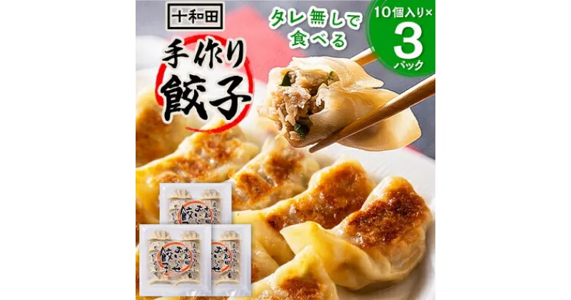 【ふるさと納税】タレ無しで食べる十和田の手作り餃子　1パック(10個入り)×3【配送不可地域：離島】【1033463】