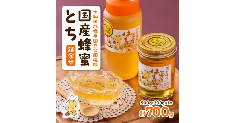 【ふるさと納税】国産蜂蜜とち詰合せ(200g・500g)【配送不可地域：離島】【1112809】