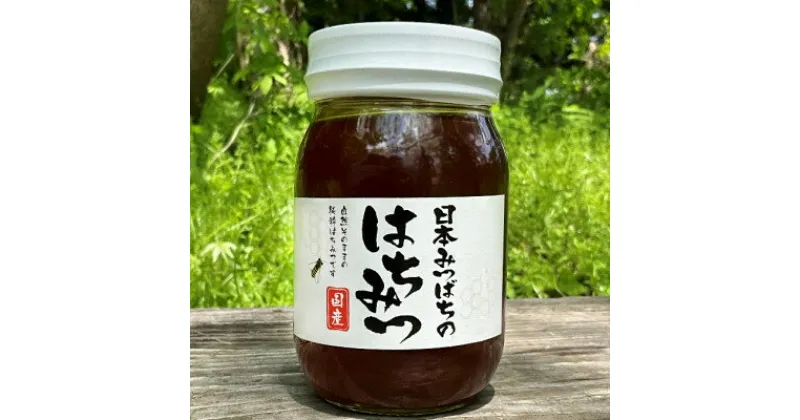 【ふるさと納税】【青森県十和田市産】日本みつばち蜂蜜550g【配送不可地域：離島】【1414003】