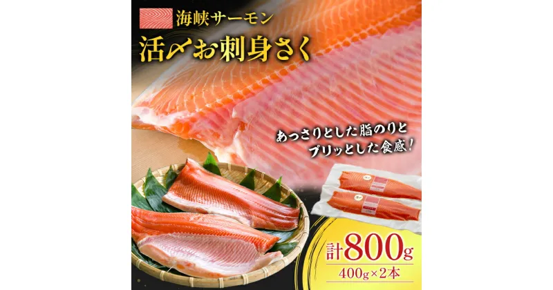 【ふるさと納税】海峡サーモン　活〆お刺身さく2本 800g【配送不可地域：離島】【1109064】