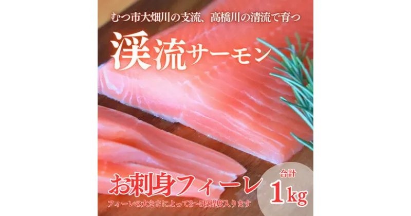 【ふるさと納税】渓流サーモン　お刺身フィーレ　1kg【配送不可地域：離島】【1484620】