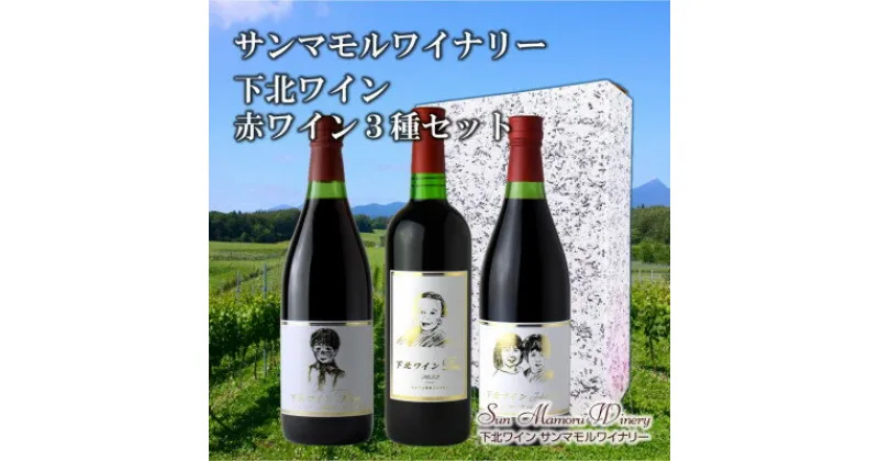 【ふるさと納税】下北ワイン　赤ワイン3種飲み比べセット【配送不可地域：離島】【1513676】