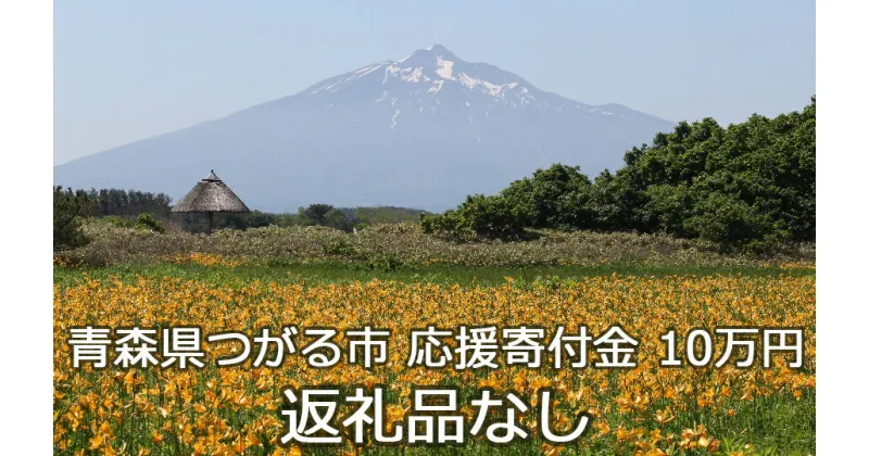 【ふるさと納税】《返礼品なし》「つがる市へのご寄附 100,000円」つがる市の発展のために活用させていただきます！ [0079] 青森 津軽 つがる つがる市