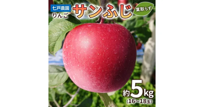 【ふるさと納税】りんご サンふじ 葉取らず 約5kg(16～18玉) 青森産 つがる市【2024年11月下旬より順次発送】｜青森県産 津軽 リンゴ 果物 令和6年産 [0332]