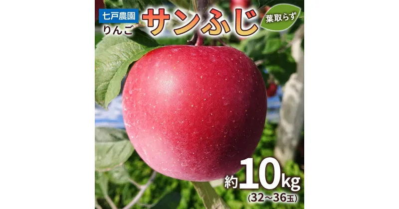 【ふるさと納税】りんご サンふじ 葉取らず 約10kg(32～36玉) 青森産 つがる市【2024年11月下旬より順次発送】｜青森県産 津軽 リンゴ 果物 令和6年産 [0333]