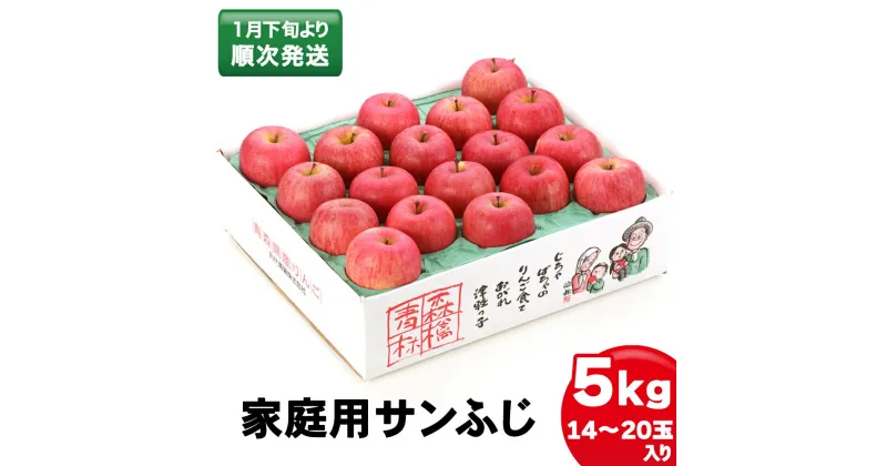 【ふるさと納税】家庭用りんご サンふじ 5kg (14～20玉入り 5kg 1箱)～見た目にわけあり 味はそのまま～｜青森 津軽 つがる リンゴ 訳あり 果物 旬 [0342]