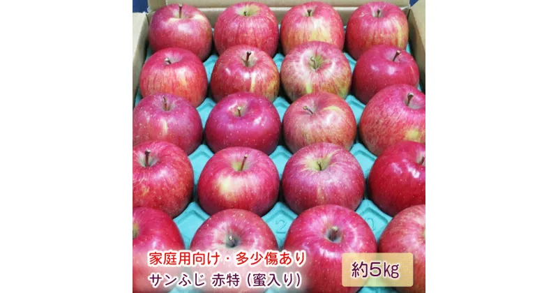 【ふるさと納税】[家庭用向け・多少傷あり] サンふじ りんご 赤特(蜜入り) 約5kg(20玉)｜青森産 つがる 津軽 リンゴ 林檎 果物 フルーツ サンフジ 2024年 令和6年 [0718]