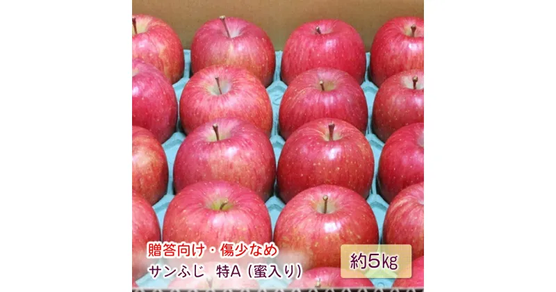 【ふるさと納税】[贈答向け・傷少なめ] サンふじ りんご 特A(蜜入り) 約5kg(20玉)｜青森産 つがる 津軽 リンゴ 林檎 果物 フルーツ サンフジ 2024年 令和6年 [0720]