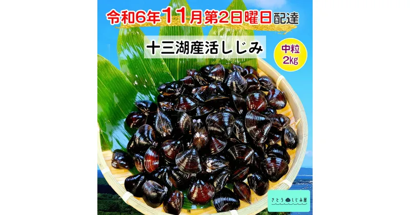 【ふるさと納税】[令和6年11月第2日曜日配達] さとうしじみ屋の十三湖産活しじみ(中粒2kg)[冷蔵]｜十三湖産 青森 津軽 つがる しじみ みそ汁 味噌汁 しじみ汁 活しじみ 冷蔵 [0584]