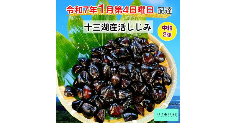 【ふるさと納税】[令和7年1月第4日曜日配達] さとうしじみ屋の十三湖産活しじみ(中粒2kg)[冷蔵]｜十三湖産 青森 津軽 つがる しじみ みそ汁 味噌汁 しじみ汁 活しじみ 冷蔵 [0586]