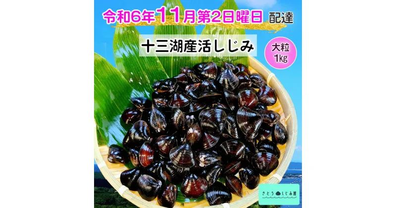 【ふるさと納税】[令和6年11月第2日曜日配達] さとうしじみ屋の十三湖産活しじみ(大粒1kg)[冷蔵]｜十三湖産 青森 津軽 つがる しじみ みそ汁 味噌汁 しじみ汁 活しじみ 冷蔵 [0597]