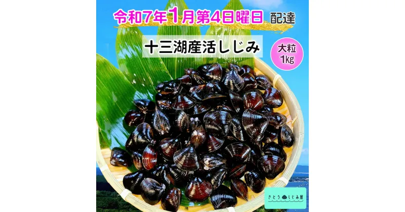 【ふるさと納税】[令和7年1月第4日曜日配達] さとうしじみ屋の十三湖産活しじみ(大粒1kg)[冷蔵]｜十三湖産 青森 津軽 つがる しじみ みそ汁 味噌汁 しじみ汁 活しじみ 冷蔵 [0599]