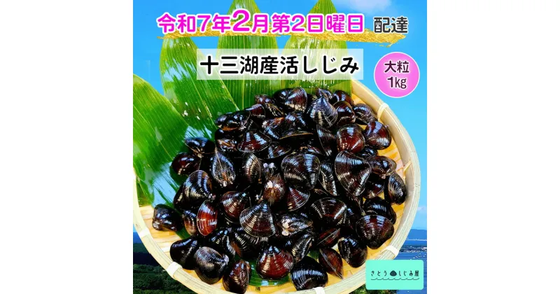 【ふるさと納税】[令和7年2月第2日曜日配達] さとうしじみ屋の十三湖産活しじみ(大粒1kg)[冷蔵]｜十三湖産 青森 津軽 つがる しじみ みそ汁 味噌汁 しじみ汁 活しじみ 冷蔵 [0600]