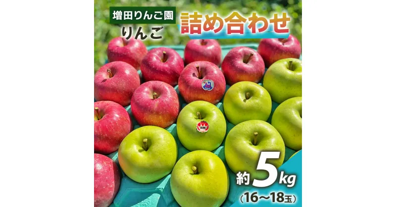 【ふるさと納税】りんご 詰め合わせ 約5kg(16～18玉) 青森産 つがる市【2024年11月下旬より順次発送】｜青森県産 津軽 つがる リンゴ 果物 サンふじ 王林 [0609]