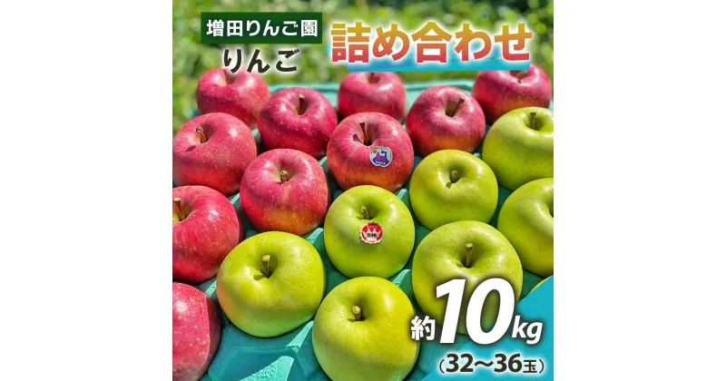 【ふるさと納税】りんご 詰め合わせ 約10kg(32～36玉) 青森産 つがる市【2024年11月下旬より順次発送】｜青森県産 津軽 つがる リンゴ 果物 サンふじ 王林 [0610]