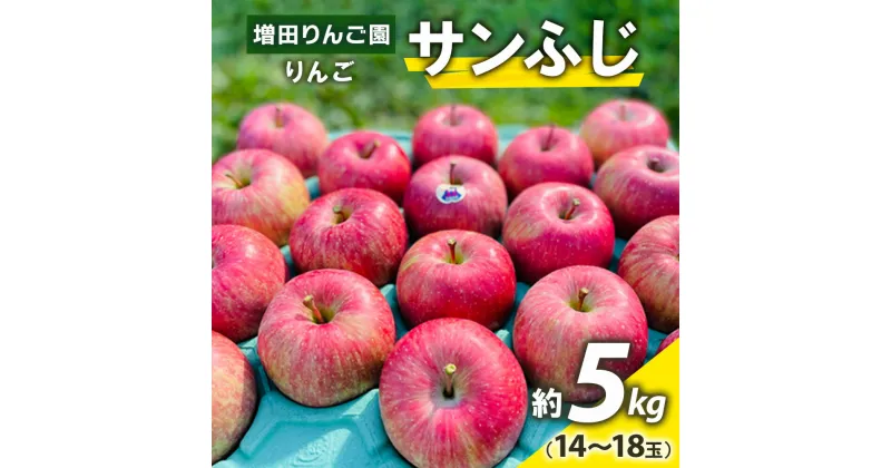 【ふるさと納税】りんご サンふじ 約5kg(14～18玉) 青森産 つがる市【2024年11月下旬より順次発送】｜青森県産 津軽 つがる リンゴ 果物 サンふじ [0612]