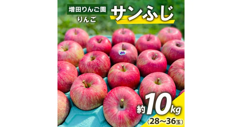 【ふるさと納税】りんご サンふじ 約10kg(28～36玉) 青森産 つがる市【2024年11月下旬より順次発送】｜青森県産 津軽 つがる リンゴ 果物 サンふじ [0613]